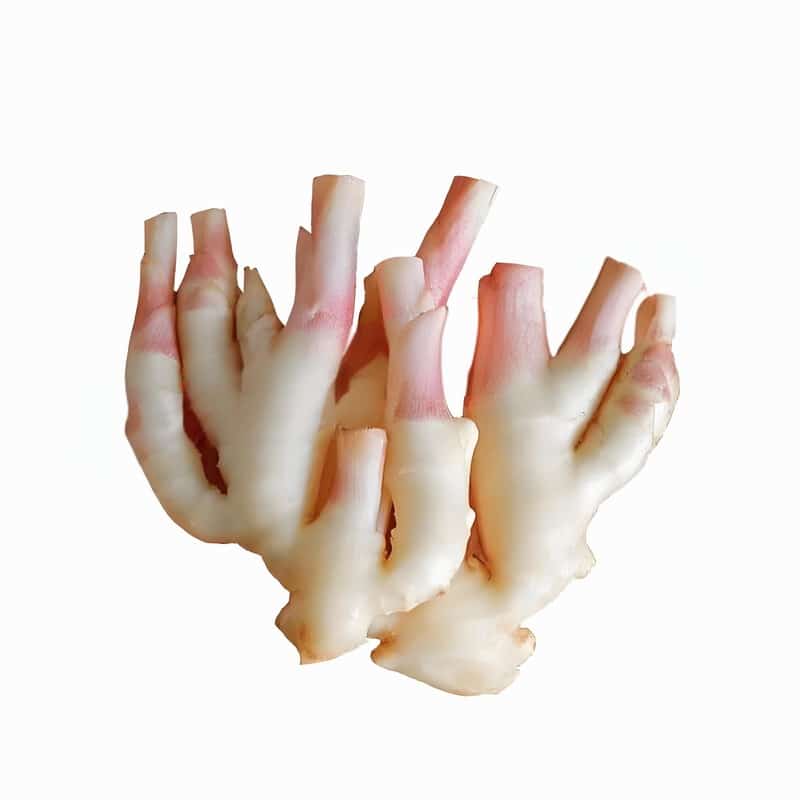 济南绿源蔬菜配送电话